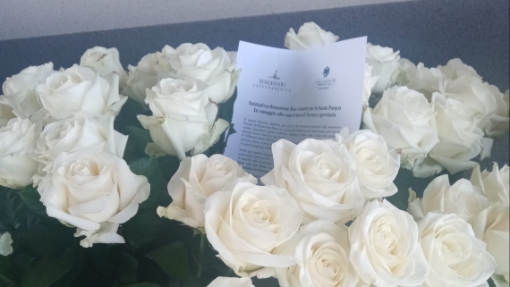 INIZIATIVA DONAZIONE ROSE AVALANCHE IN OMAGGIO ALLE RSA DI NOVARA E PROVINCIA